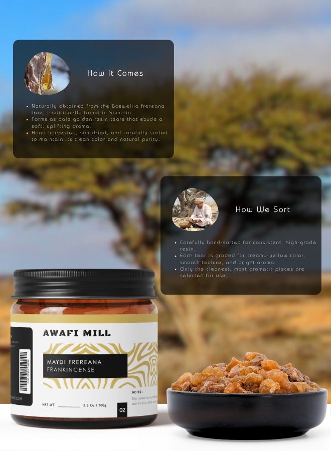 AWAFI MILL Frereana Frankincense Resin (Maydi) 100g (3.5 Oz) - Pack of 5 | Somali Olibanum for Charcoal & Bakhoor Burners | Loose Incense Resin - Image 4